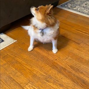 Meet your Posher, Joshua